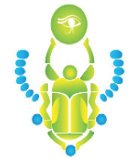 FUMIGACION DE OFICINAS PARA MOSQUITOS